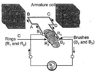 Class 10 Science: CBSE Sample Question Paper (2019-20) - 6 | Science Class 10