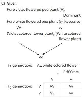 Class 10 Science Chapter 8 Previous Year Questions - Heredity and Evolution