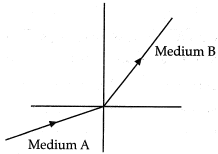 Class 10 Science: CBSE Sample Question Paper (2019-20) - 7 | Science Class 10