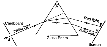Class 10 Science Chapter 10 Previous Year Questions - The Human Eye and the Colourful World