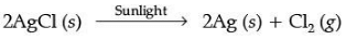 Class 10 Science: CBSE Sample Question Paper (2020-21) - 3 | Science Class 10