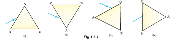 NCERT Exemplar: The Human Eye & the Colourful World | Science Class 10