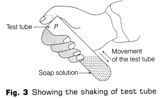 Lab Manual: Cleaning Capacity of Soap in Hard and Soft Water - Class 10