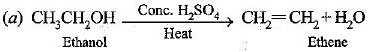 NCERT Exemplar: Carbon & its Compounds | Science Class 10