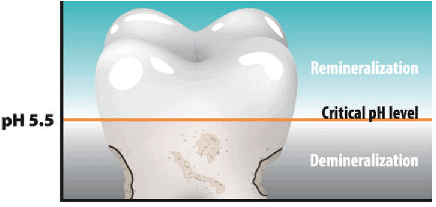 pH Level of Tooth