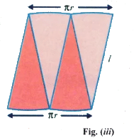 Lab Manual: Surface Area of a Cone - Class 10