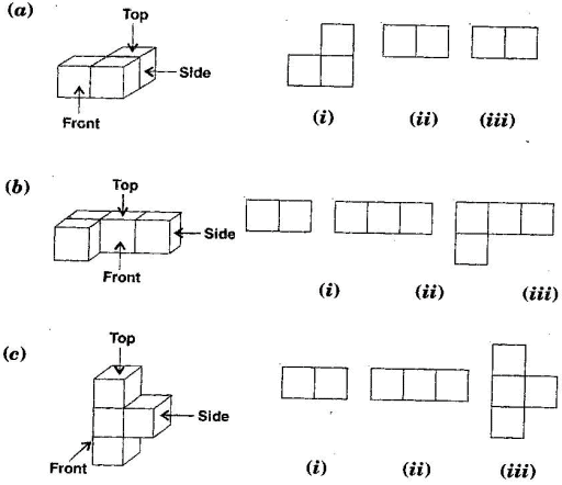 Visualising Solid Shapes NCERT Solutions - Class 8