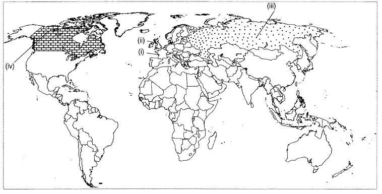 Map Based Questions: Socialism in Europe and the Russian Revolution | Social Studies (SST) Class 9