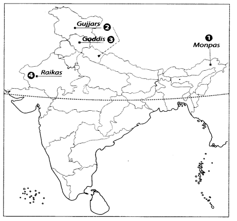 Map Based Questions: Pastoralists in the Modern | Social Studies (SST) Class 9