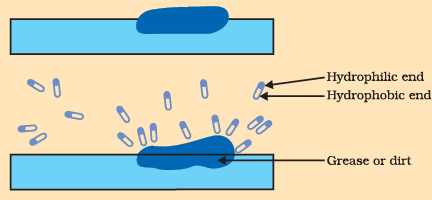 Diagram Based Questions: Carbon and its compounds | Science Class 10