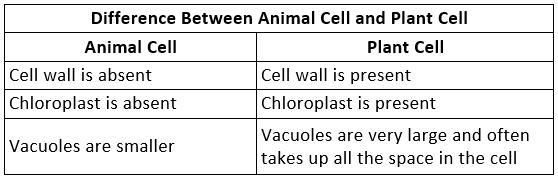 NCERT Solutions for Class 8 Science - Cell Structure and Functions