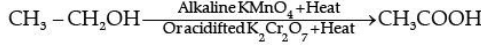 Class 10 Science: CBSE Sample Question Paper (2020-21) - 6 | Science Class 10
