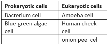 Lakhmir Singh & Manjit Kaur: Cell Structure and Functions- 3 | Lakhmir Singh & Manjit Kaur Solutions: Class 8 Science