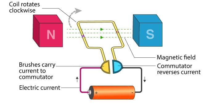 Electric Motor & Electric Generator | Physics for Grade 10
