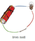 NCERT Exemplar Solutions: Chemical Effects of Electric Current | Science Class 8