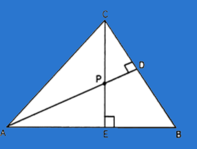 Class 10 Maths Chapter 6 Practice Question Answers - Triangles