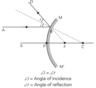Class 10 Science Chapter 9 Previous Year Questions - Ray Optics - Light : Reflection and Refraction