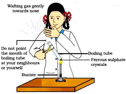 NCERT Based Activity : Chemical Reactions and Equations | Science Class 10