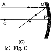 Class 10 Science: CBSE Sample Question Paper (2019-20) - 7 | Science Class 10