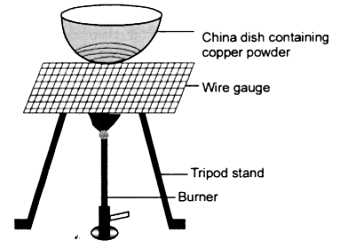 Class 10 Science Chapter 1 HOTS Questions - Chemical Reactions and Equations