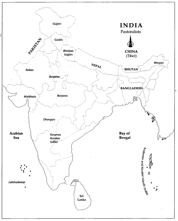 Map Based Questions: Pastoralists in the Modern | Social Studies (SST) Class 9