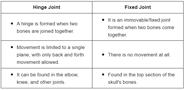 Long Questions: Body Movements | NCERT Summary: UPSC
