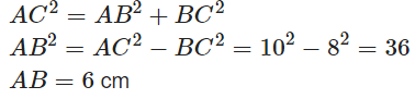 Triangles Class 10 Worksheet Maths Chapter 6