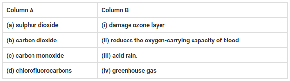 NCERT Exemplar Solutions: Pollution of Air and Water - Class 8