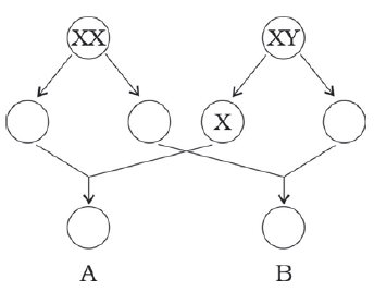 NCERT Exemplar Solutions: Reaching the Age of Adolescence | Science Class 8