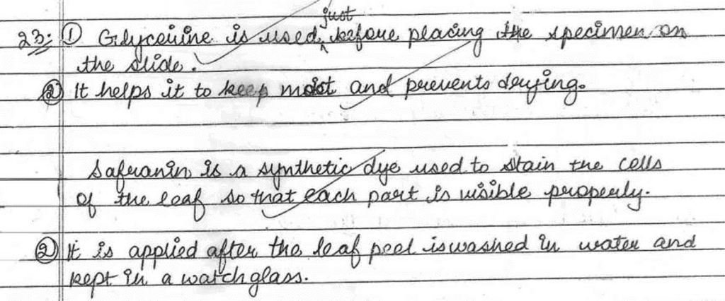 Science Topper`s Answer Sheet - 2019, Class 10