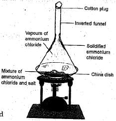 Class 9 Science: Sample Question Paper- 9 (With Solutions)