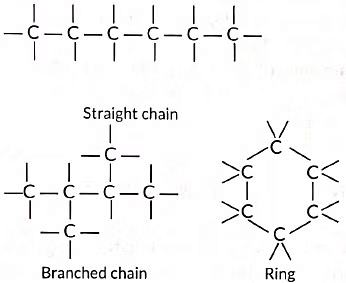 Class 10 Science Chapter 4 Previous Year Questions - Carbon and its compounds