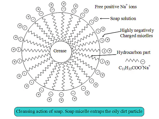 Previous Year Questions 2017