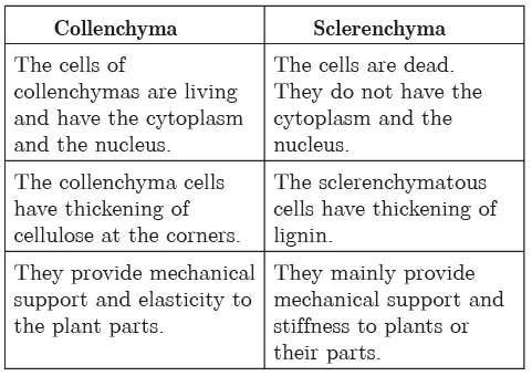 Class 9 Science Chapter 6 Question Answers - Tissues