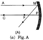 Class 10 Science: CBSE Sample Question Paper (2019-20) - 7 | Science Class 10