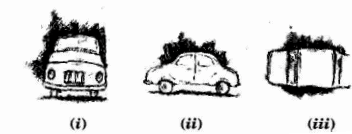 Visualising Solid Shapes NCERT Solutions - Class 8
