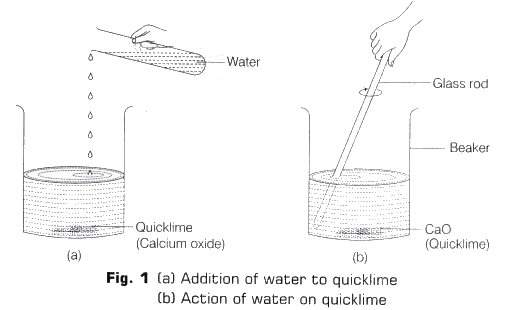 Lab Manual: Types of Reactions - Class 10
