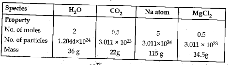 Class 9 Science: Sample Question Paper- 6 (With Solutions)