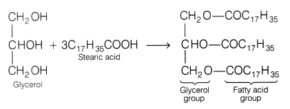 Lab Manual: Soap Preparation - Class 10