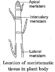 Class 9 Science: Sample Question Paper- 9 (With Solutions)