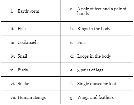 Short Questions: Body Movements | NCERT Summary: UPSC