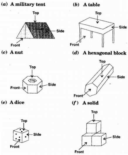 Visualising Solid Shapes NCERT Solutions - Class 8