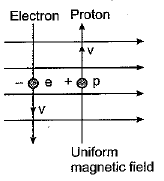Class 10 Science: CBSE Sample Question Paper (2019-20) - 2 | Science Class 10
