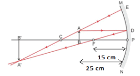 Class 10 Science - Previous Year Paper with Solutions- 2020