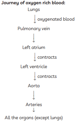 Class 10 Science Chapter 5 Previous Year Questions - Life Processes