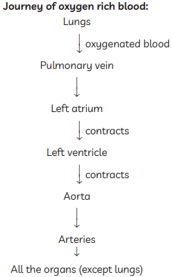Previous Year Questions 2020
