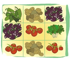 NCERT Solutions for Class 5 Maths - Parts and Wholes