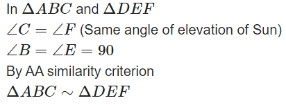 Triangles Class 10 Worksheet Maths Chapter 6