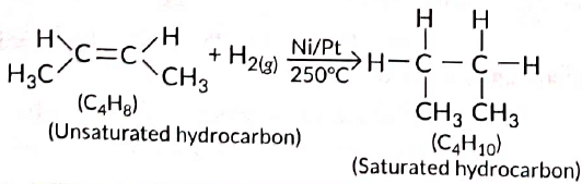 Previous Year Questions 2017