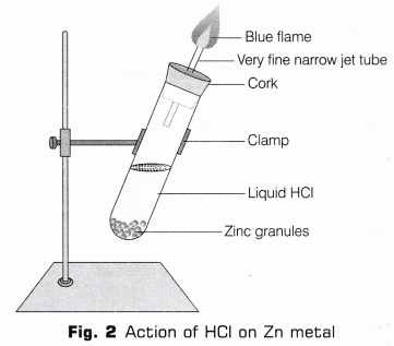 Lab Manual: Properties of Acids & Bases - Class 10